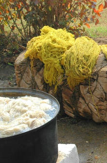 Wool dyed with reseda at Wissa Wassef Art Centre, Giza, Egypt