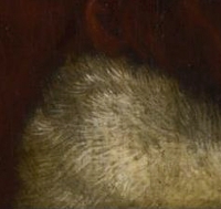 Portrait of the Artist's Wife, Cunera, Frans van Mieris the Elder