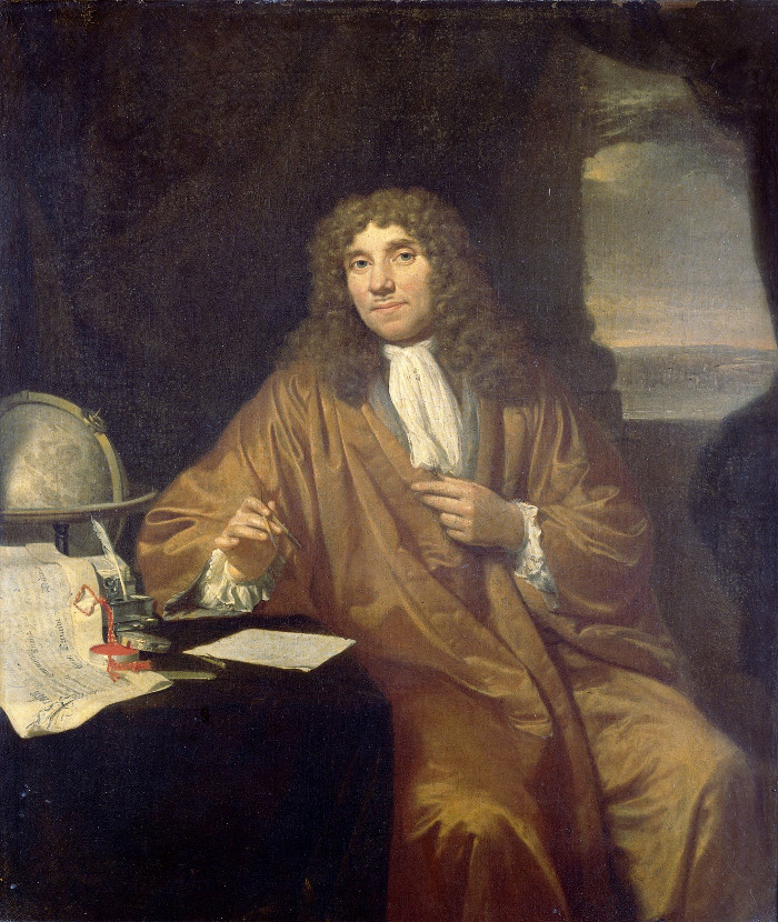Van Leeuwenhoek, Verkolje