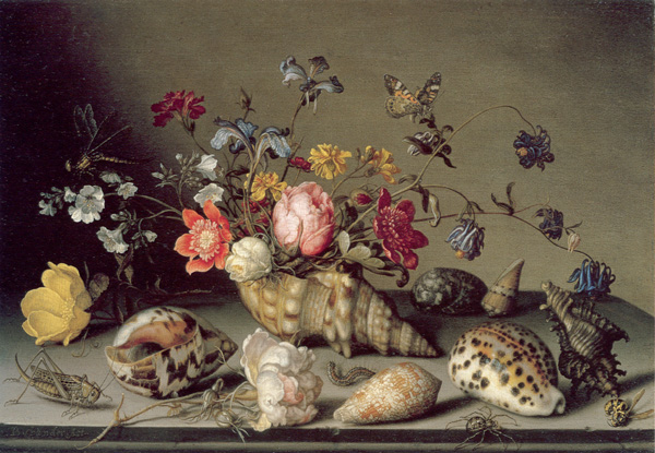 Still Life with Flowers, Shells and Insects, Balthasar van der Ast