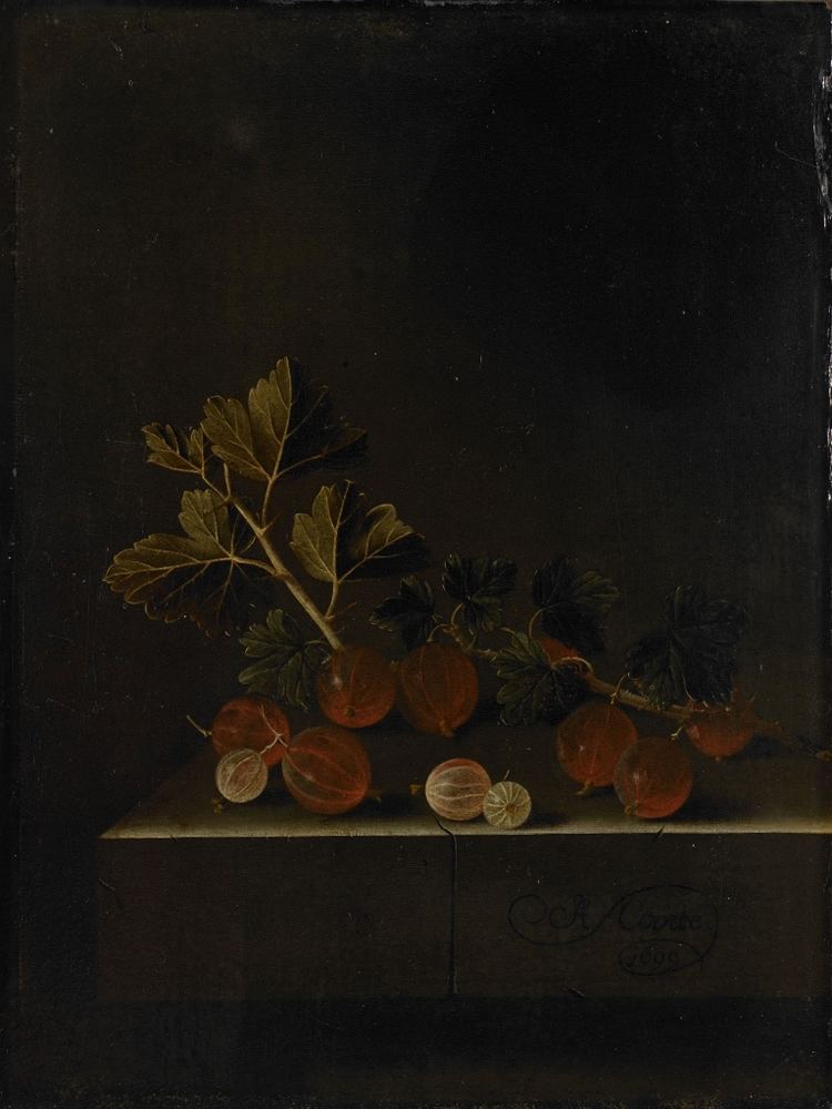Adriaen Coorte, A Sprig of Gooseberries on a Stone Plinth