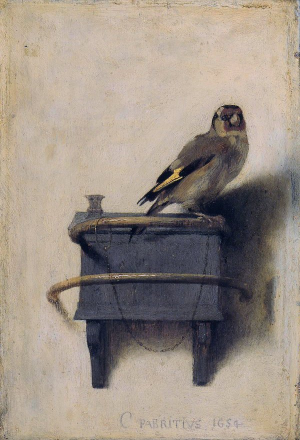 Carel Fabritius, The Goldfinch