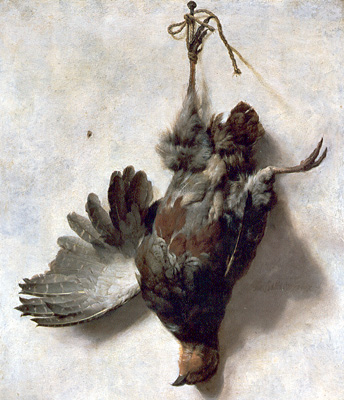 The Dead Partridge, Jan Baptist Weenix