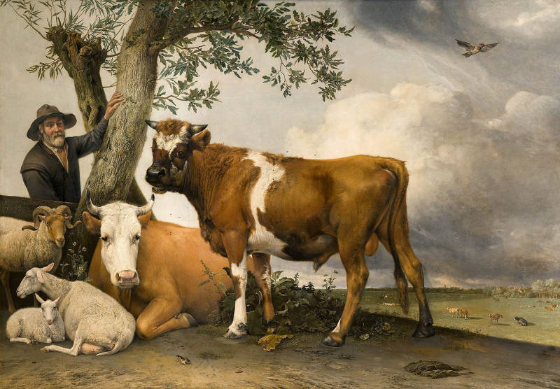 Paulus Potter, The Young Bull