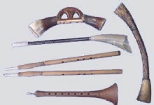 Various types of hornpipes
