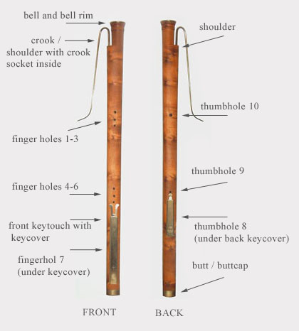 structure of a dulcian in diagram