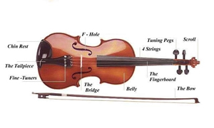 main elements of a modern violin