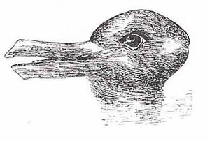 rabbit-duck illusion