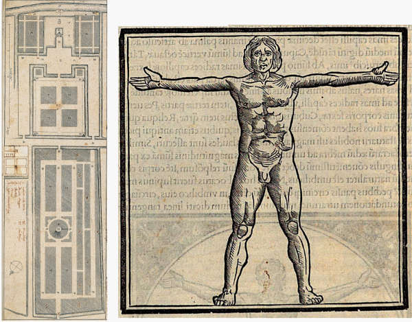 Leonardo da Vinci, Vetruvian man