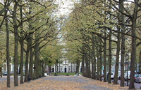 Lange Voorhout
