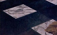 tiles in the Music lesson by Johannes Vermeer