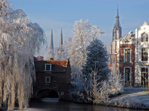 Delft frost