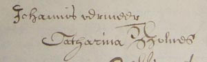 Signatures of Vermeer and Catharina Bolnes