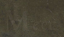 The signature of Johannes Vermeer's Girl with a Pearl Earring