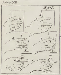Holding a Glass of wine