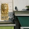 Bird in Delft
