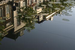 Delft light