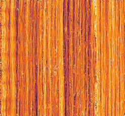 weavemap-of-vermeer-s-canvas