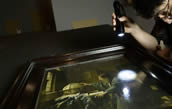 Rembrandt and the Dutch Golden Age, Budhapest