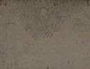 Vermeer's fingerprint