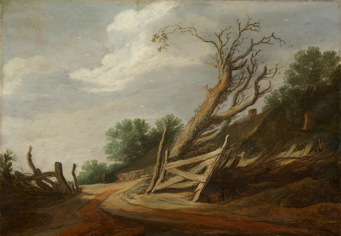 Pieter Molijn