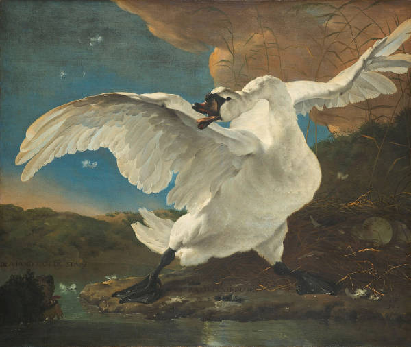 The Threatened Swan, Jan Asselijn
