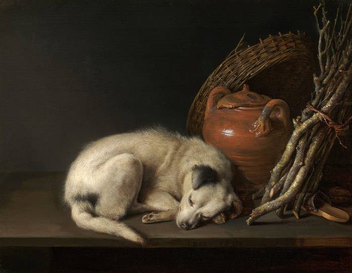 Dog at Rest, Gerrit Dou