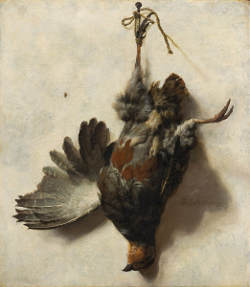 Weenix, Dead Partrige