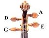 violin pegs