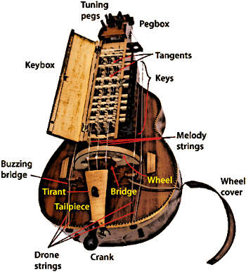 the hurdy-gurdy