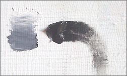 Ivory black pigment