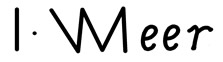 type a Vermeer signature