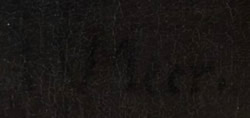 signature of Johannes Vermeer's A Maid Asleep