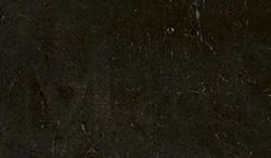  Girl with a pearl Earring