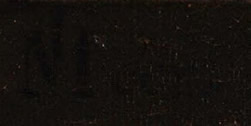 signature of Johannes Vermeer's WOman with a pearl Necklace