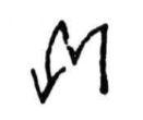 facsimile of the signature of Johannes Vermeer's The View of Delf (by Thore)