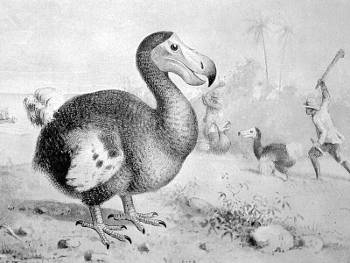 Extinct Monsters and Creatures of Other Days, Hutchinson, H. N.; Knight, Charles Robert; Smit, Joseph; Woodward, Alice B.