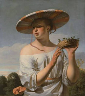 Woman in a Large Hat, v