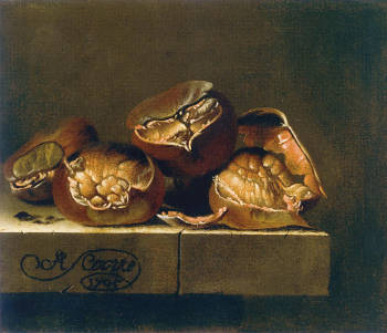 Chestnuts, Adriaen Coorte