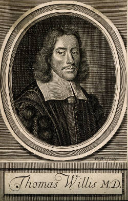 Thomas Willis