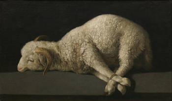Agnus Dei, Francisco de Zurbarán